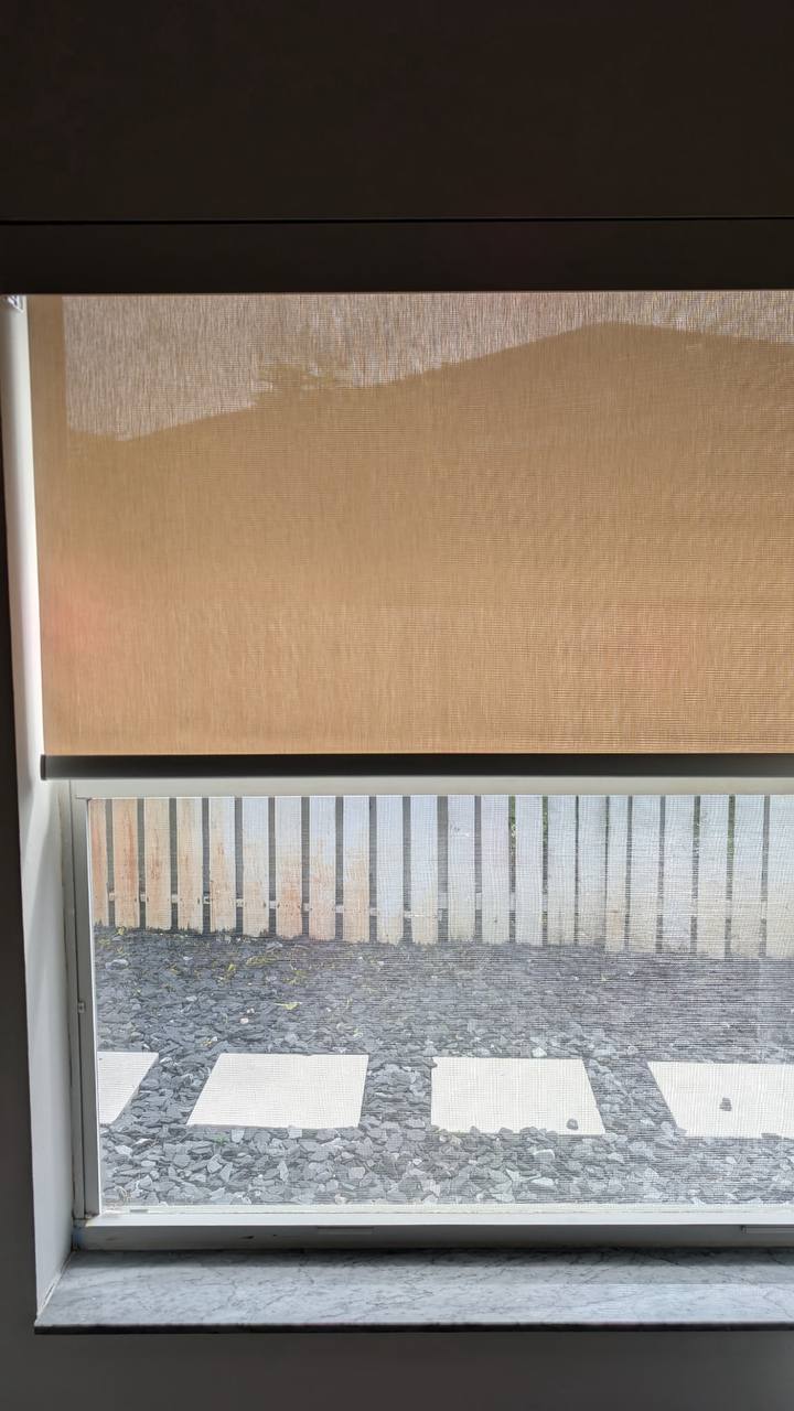 Partially raised sunscreen shade showing the yard view in a Hollywood home