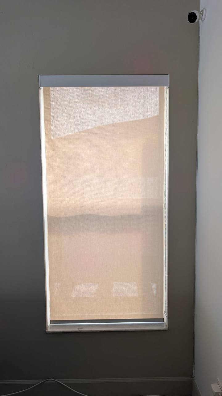 Sunscreen window shade on a tall window against a gray accent wall in Hollywood