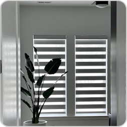 White zebra shades on a window with a houseplant