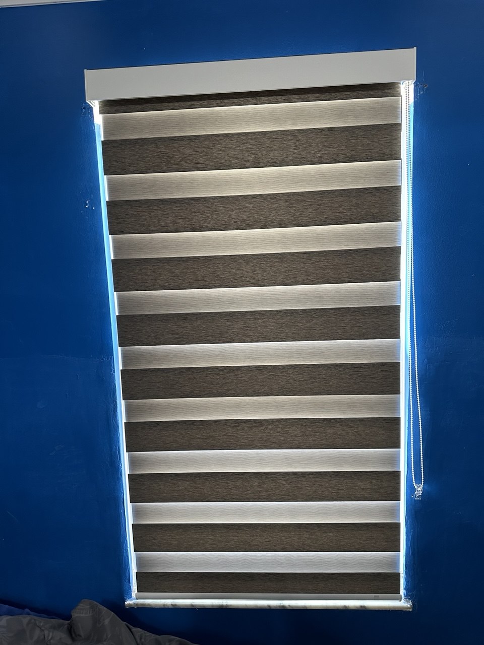 Dark gray and white zebra shade installed against a blue wall in Royal Palm Beach